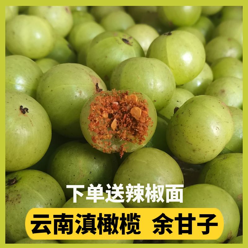 云南野生滇橄榄果新鲜当季特产水果余甘果油柑孕妇酸水果送辣椒面