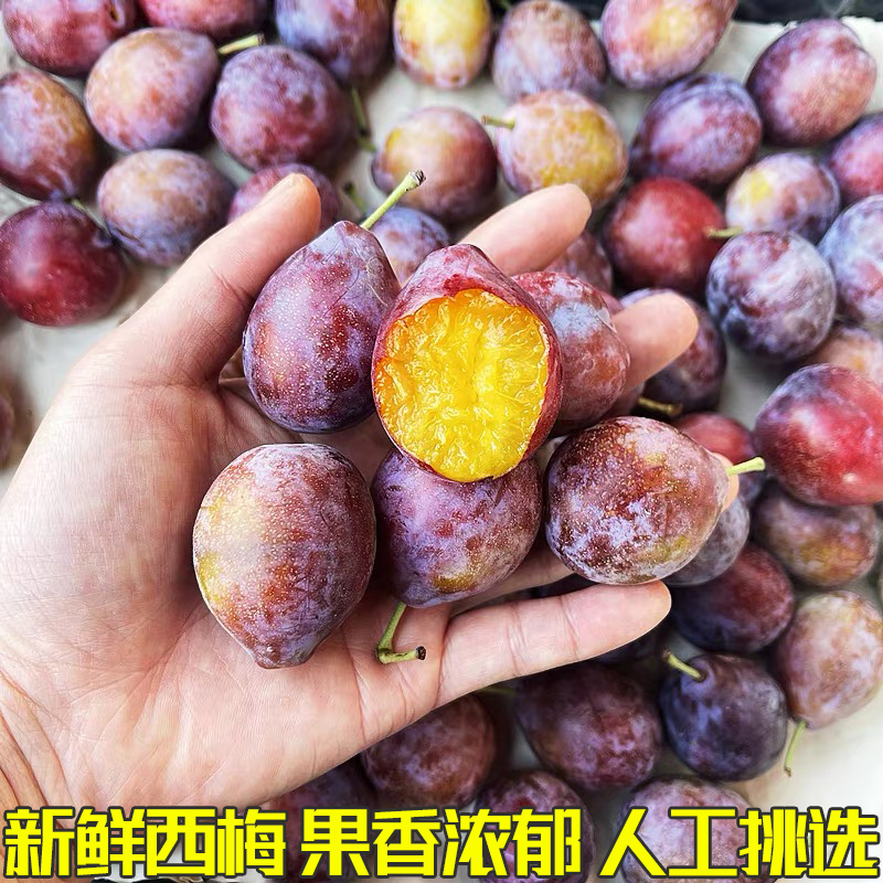 新鲜西梅新鲜水果当季精选直发