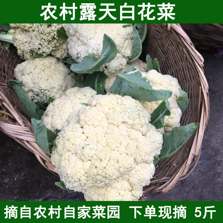 新鲜白花菜现摘5斤装农家菜花散菜花花菜花椰菜花时令蔬菜白花菜