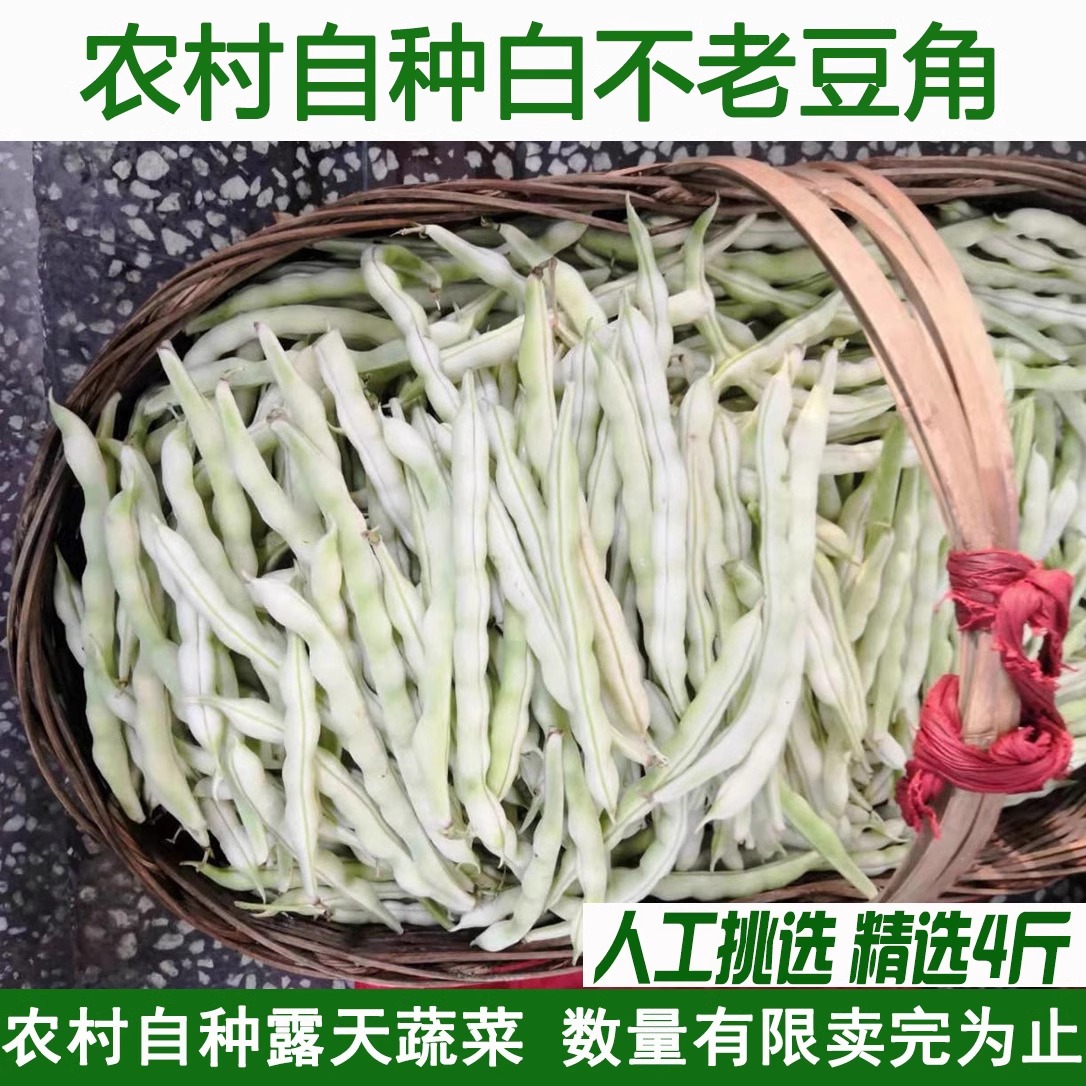 湖北老来少白不老豆角新鲜蔬菜