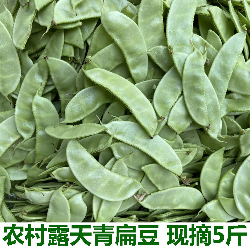 扁豆角新鲜蔬菜农家自种月儿菜扁豆眉豆白扁豆青豆角扁豆荚嫩包邮