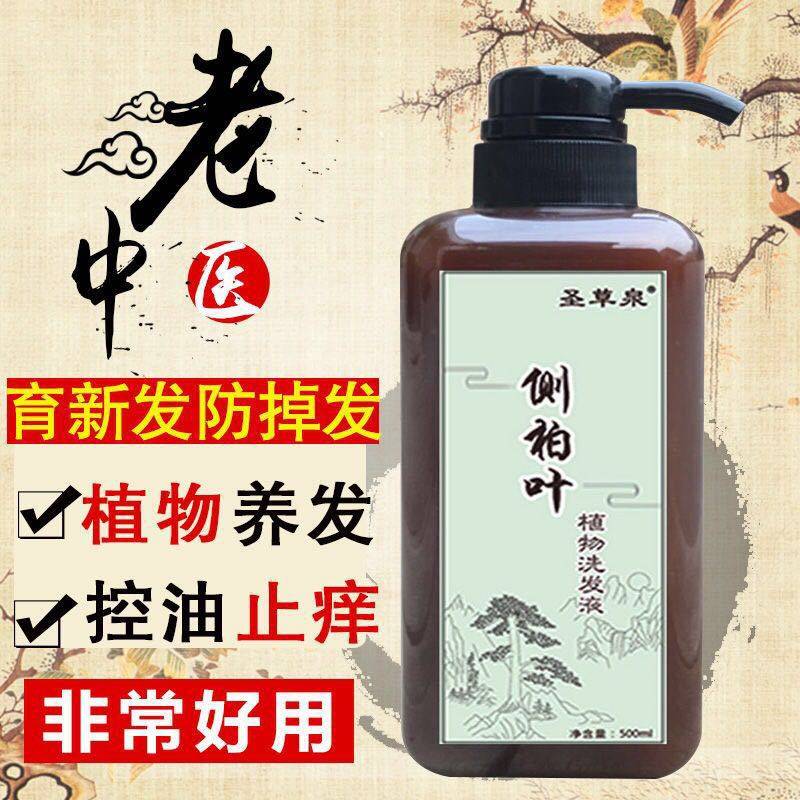 圣草泉侧柏叶洗发液首乌生姜黑发控油滋养去屑痒青少年脱发白孕妇