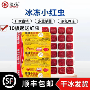100g浪花冰冻小红虫高蛋白营养新鲜小型多种鱼饲料增色鱼食小丑鱼