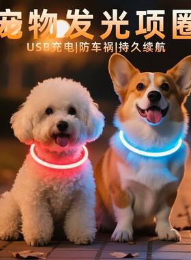 狗狗铃铛发光项圈夜间遛狗夜光狗圈小狗发光圈发亮荧光宠物脖圈