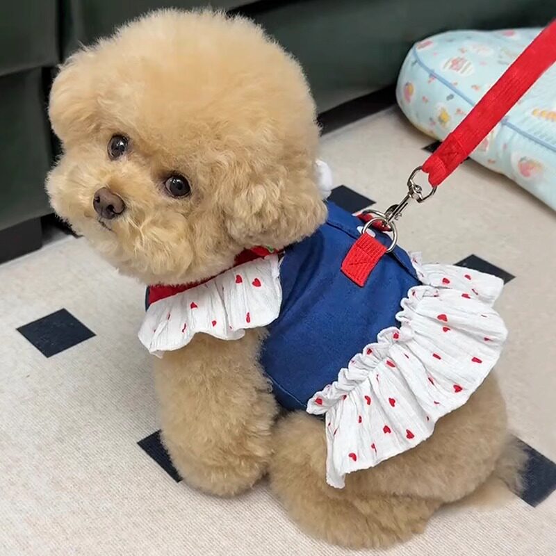 小型犬牛仔卡通牵引裙防掉毛