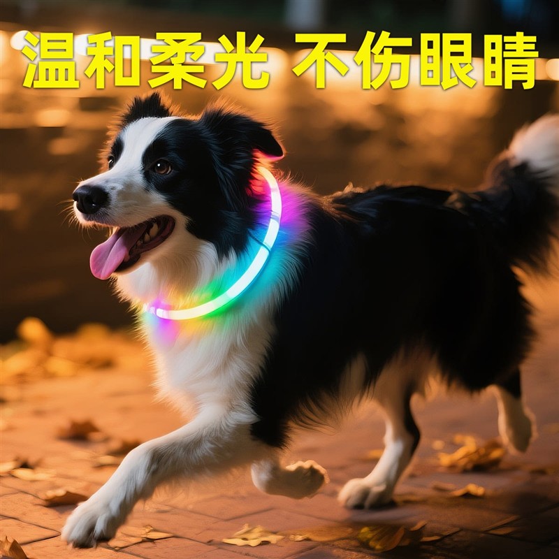 狗狗夜光充电项圈大型小型通用