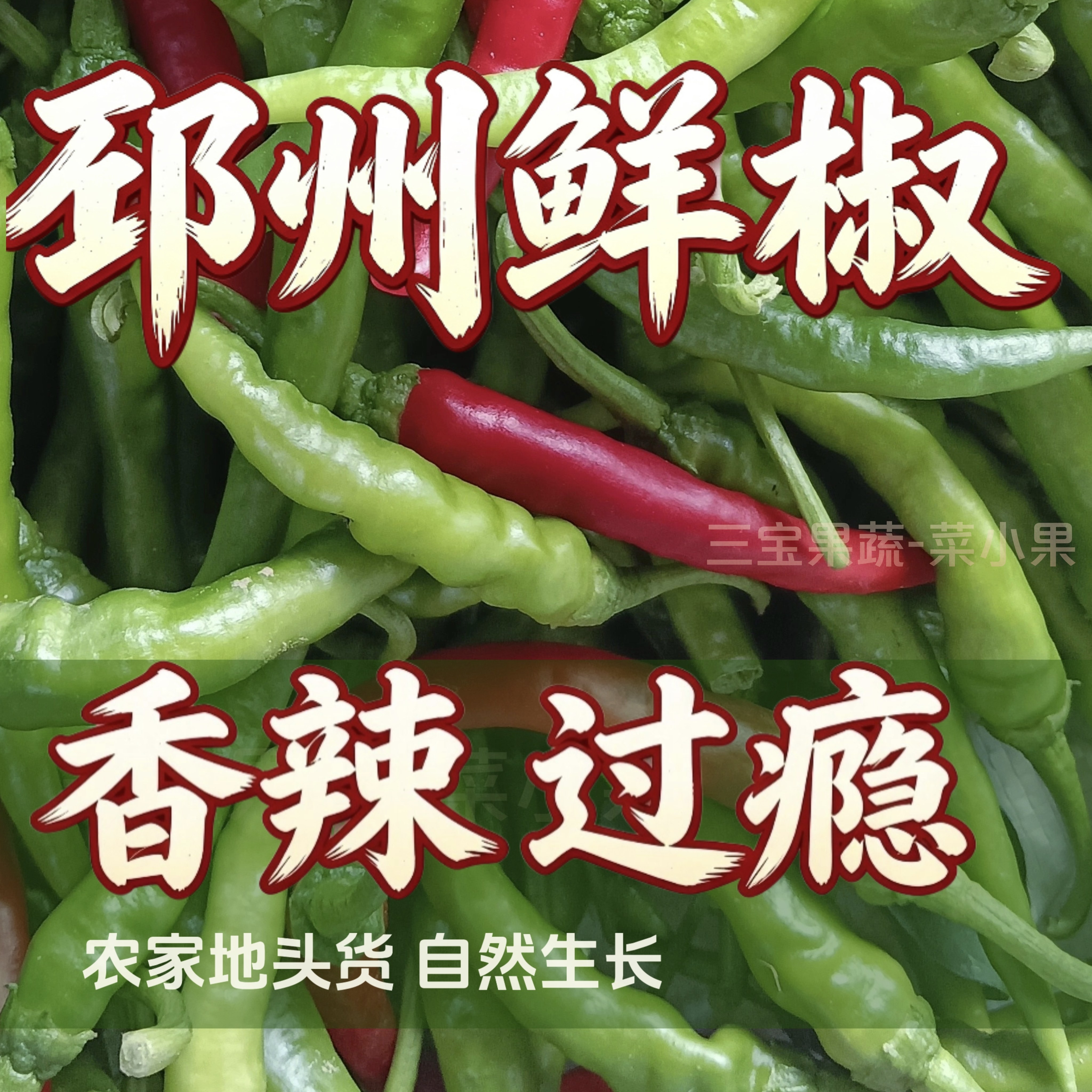 邳州新鲜勾椒土辣椒薄皮尖椒农家小青椒朝天小尖椒徐州螺丝椒朝天