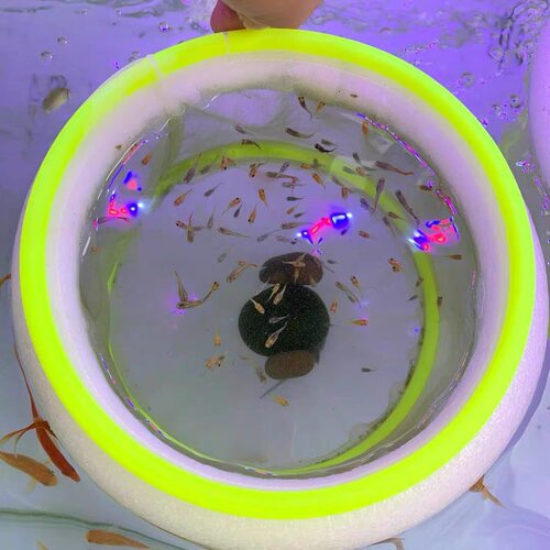 新款孔雀鱼悬浮繁殖隔离网细密网