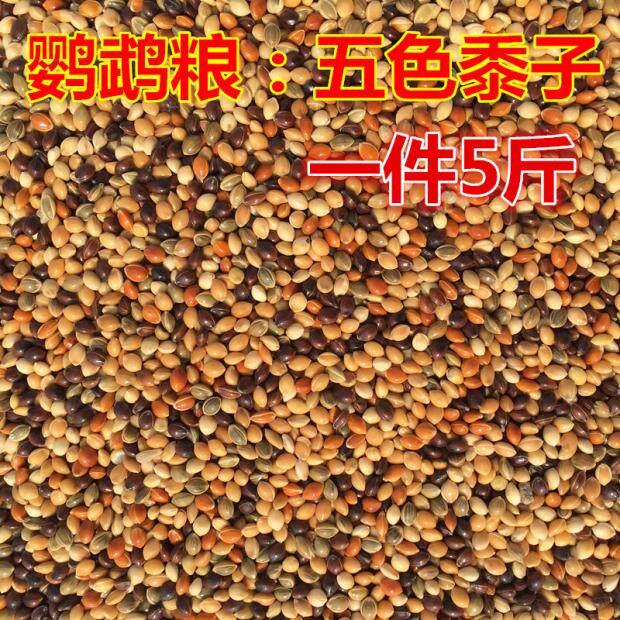 干黍子混合鸟包邮5斤饲料