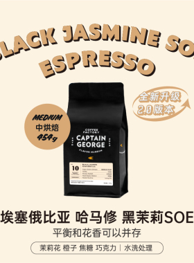 乔治队长 埃塞俄比亚西达摩哈马修黑茉莉SOE意式咖啡中烘焙454g