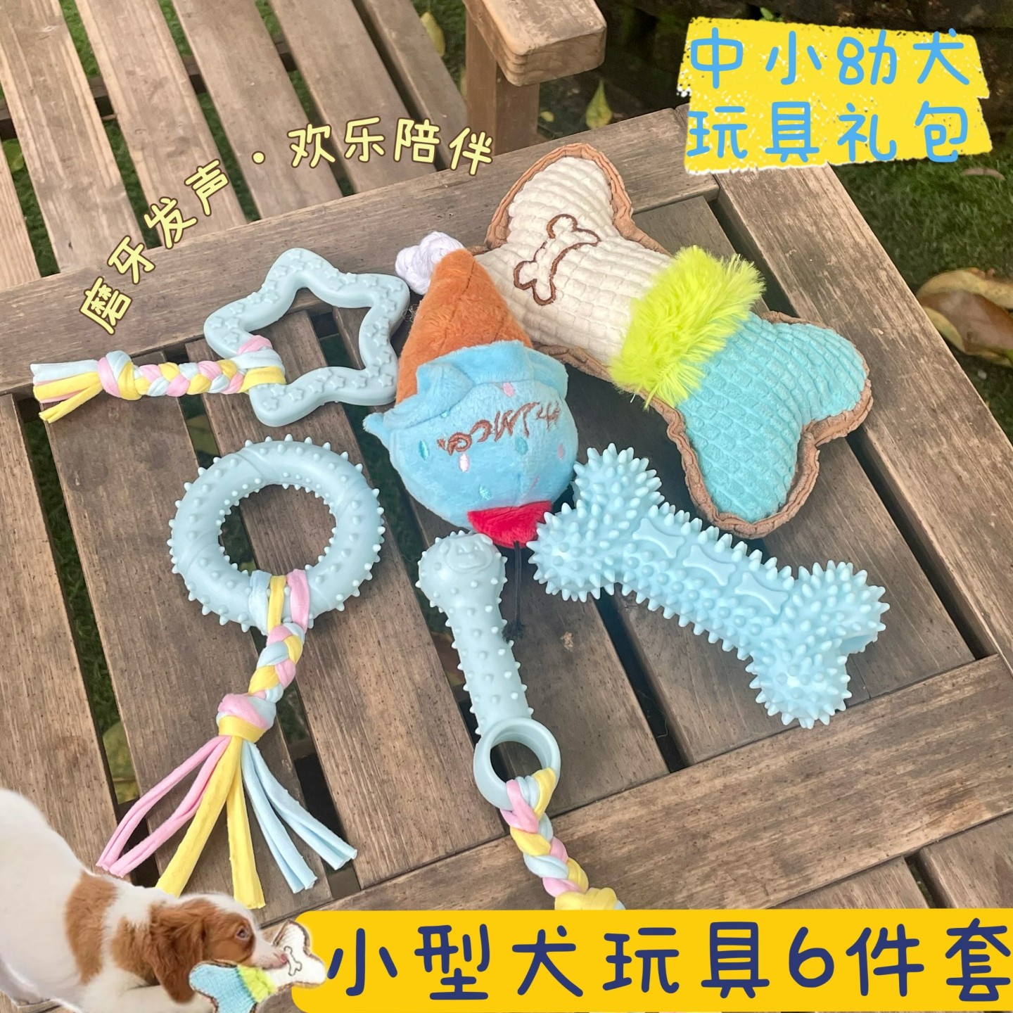 PetWoo狗狗咬胶玩具耐咬解牙痒解闷高颜值发声玩具泰迪比熊幼犬