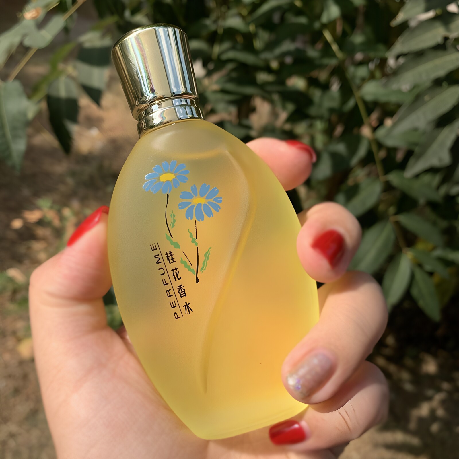 正品桂花老牌香水淡香持久留香72女士小时玫瑰房间茉莉花香水学生