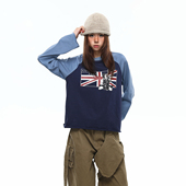 BTSG 复古小板型插肩打底衫 国潮撞色拼接恶搞旗帜印花长袖 T恤美式