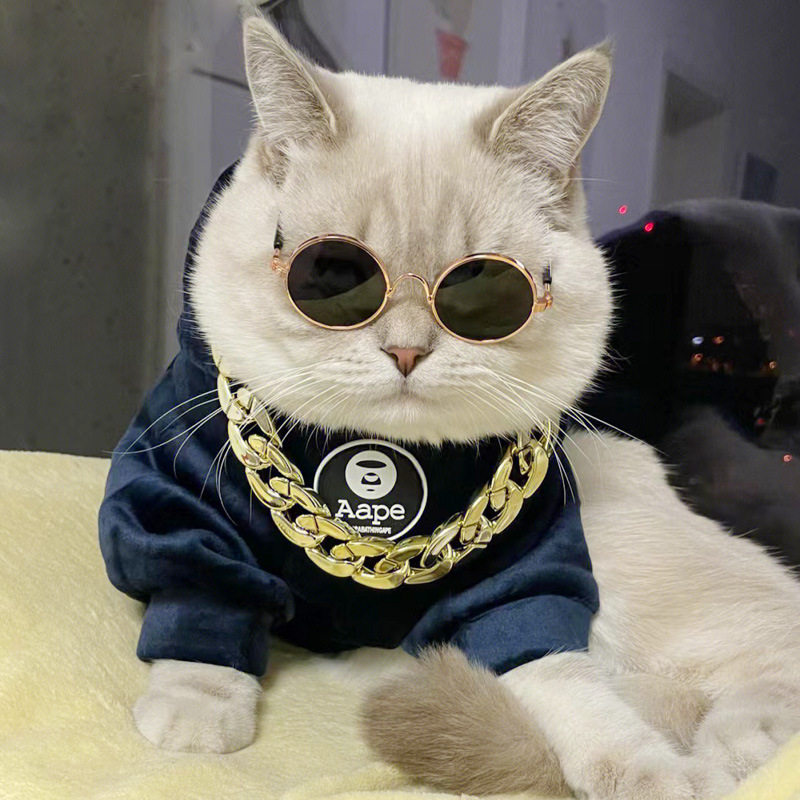 宠物猫咪项链搞怪拍照道具仿黄金项链耍酷搞笑法斗狗狗恶霸金链子