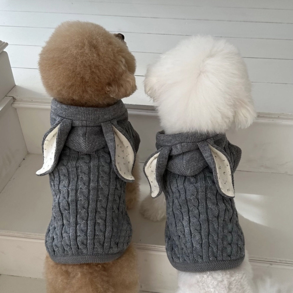 ins韩国狗狗衣服保暖宠物衣服斗篷披肩中小型犬猫咪泰迪秋冬加厚