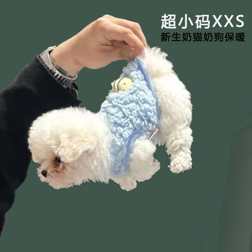 新生儿奶猫奶狗保暖柔软送小毯