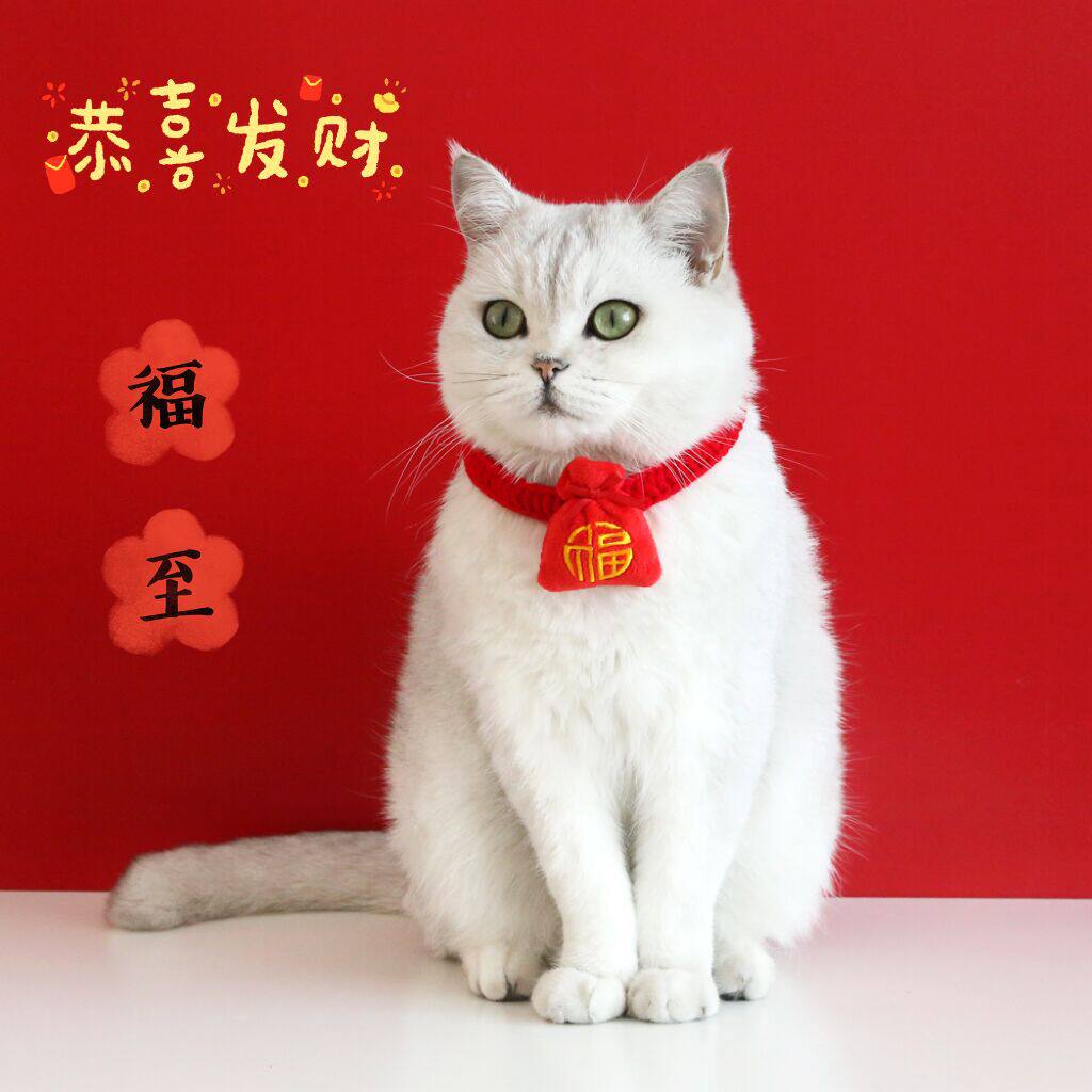 猫咪项圈新年福袋红色宠物脖子装饰拍照元宝平安锁小狗狗项圈围脖
