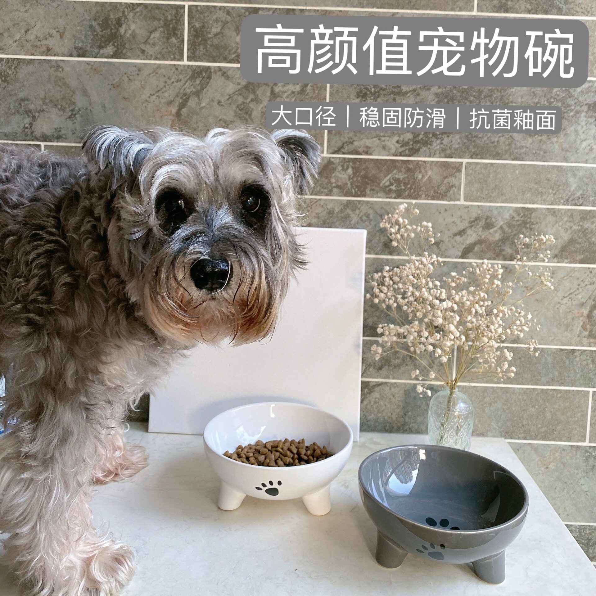 陶瓷猫碗大口径防打翻狗碗狗盆泰迪犬宠物用品宠物喝水碗猫咪饭碗