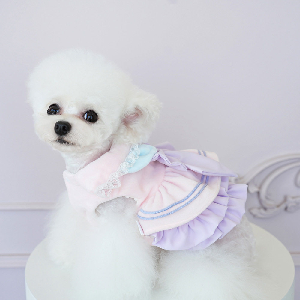 狗狗衣服秋冬装公主猫咪裙子小香风背包中小型犬泰迪博美宠物衣服