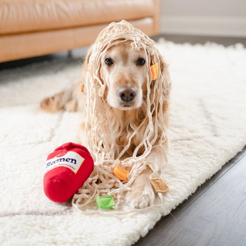 磨牙绳狗狗藏食玩具的拉布拉多犬大型犬柴犬金毛解闷神器宠物咬绳