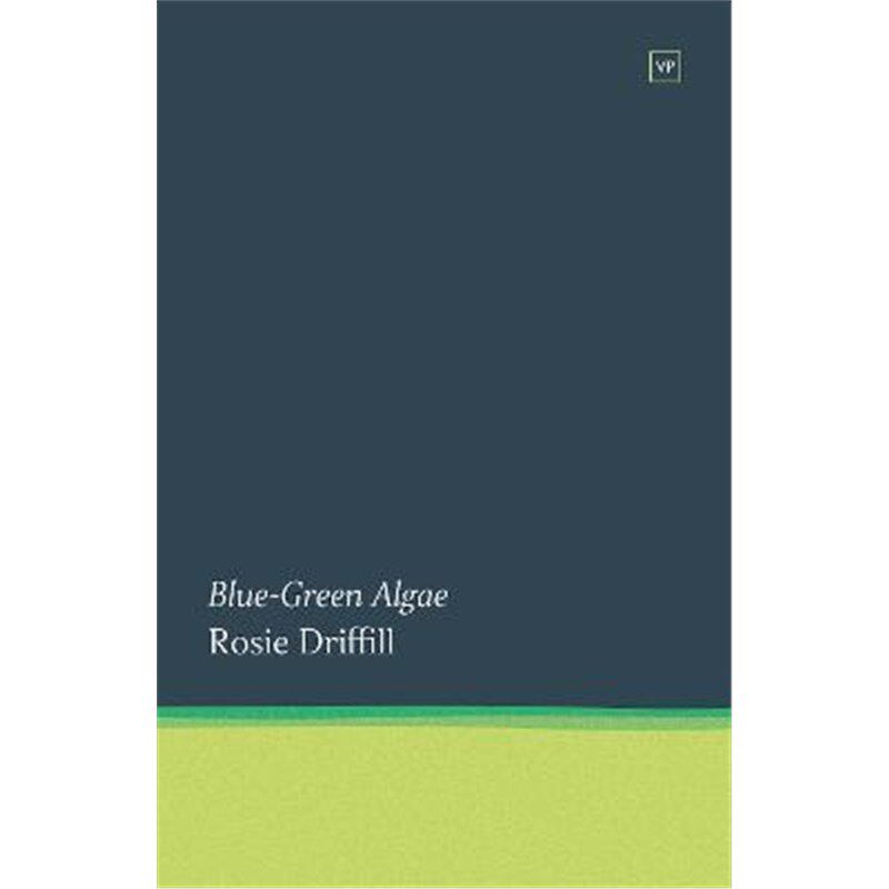预订，预计下单后3-6周左右发货！
