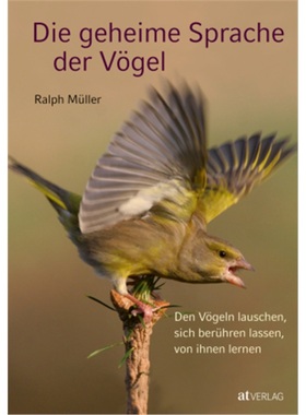 预订【德语】 Die geheime Sprache der Vögel[9783038004882]