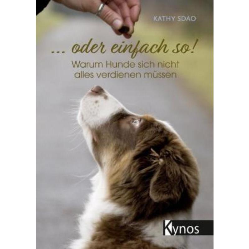 预订，预计下单后3-6周左右发货！