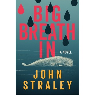 2024新书 9781641296540 Big Breath 预售