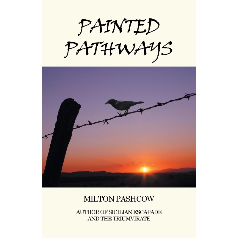 按需印刷不退不换Painted Pathways[9781514417966]