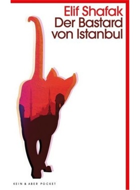 预订【德语】 The Bastard of Istanbul[9783036959245]