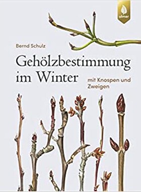 预订【德语】 Geh?lzbestimmung im Winter:mit Knospen und Zweigen