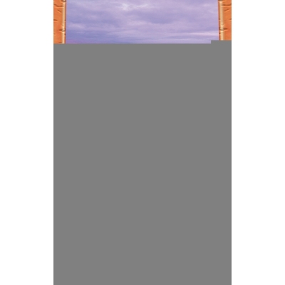 按需印刷The Richest Man in Babylon[9789562914192]