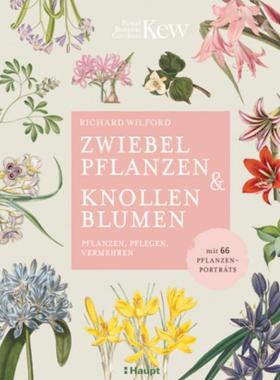 预订【德语】 Zwiebelpflanzen & Knollenblumen:pflanzen, pflegen, vermehren - mit 66 Pfl