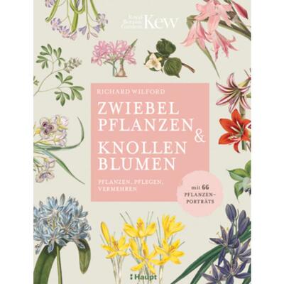 预订不退不换德语 Zwiebelpflanzen & Knollenblumen:pflanzen, pflegen, vermehren - mit 66 Pfl