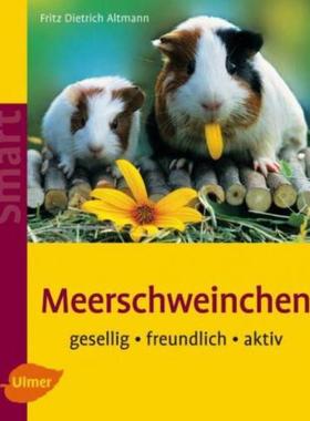 预订【德语】 Meerschweinchen:Gesellig - freundlich - aktiv