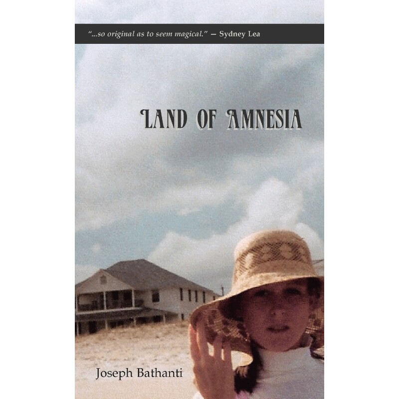 按需印刷不退不换Land of Amnesia[9780981628073]