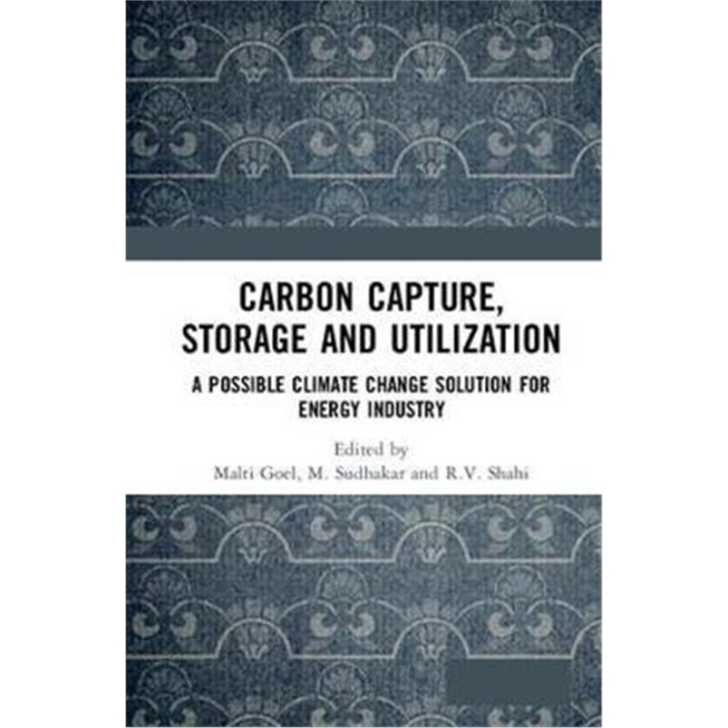 按需印刷Carbon Capture, Storage and Utilization:A Possible Climate Change Solution for Energy Industry[9780367179083]