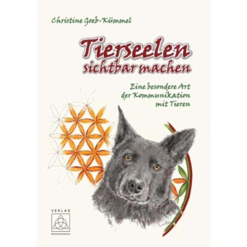 预订，预计下单后3-6周左右发货！