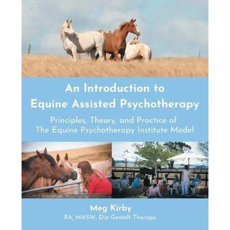 预订，预计下单后2-3周左右发货！