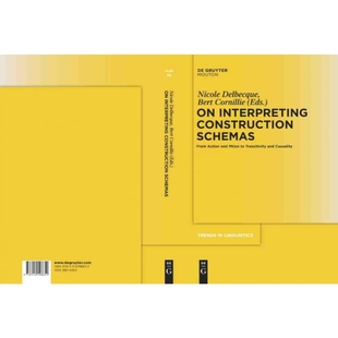 Construction 按需印刷DGYT Interpreting Schemas 9783110198652