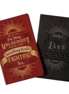 预订Harry Potter: Character Notebook Collection. Set of 2: Harry and Voldemort[9781683833086]