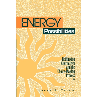 按需印刷不退不换Energy Possibilities[9780791425961]