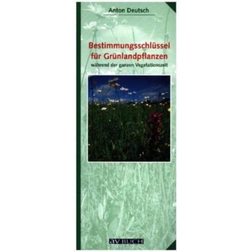 预订，预计下单后3-6周左右发货！