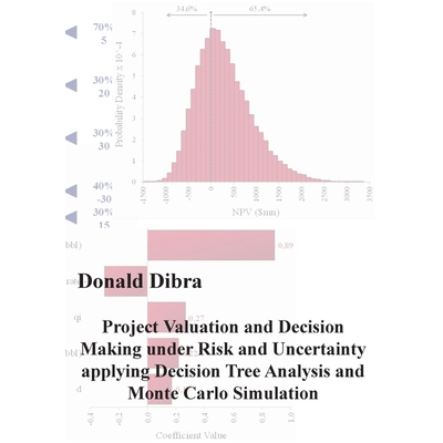 预订Project Valuation and Decision Making under Risk and Uncertainty applying Decision Tree Analysis and