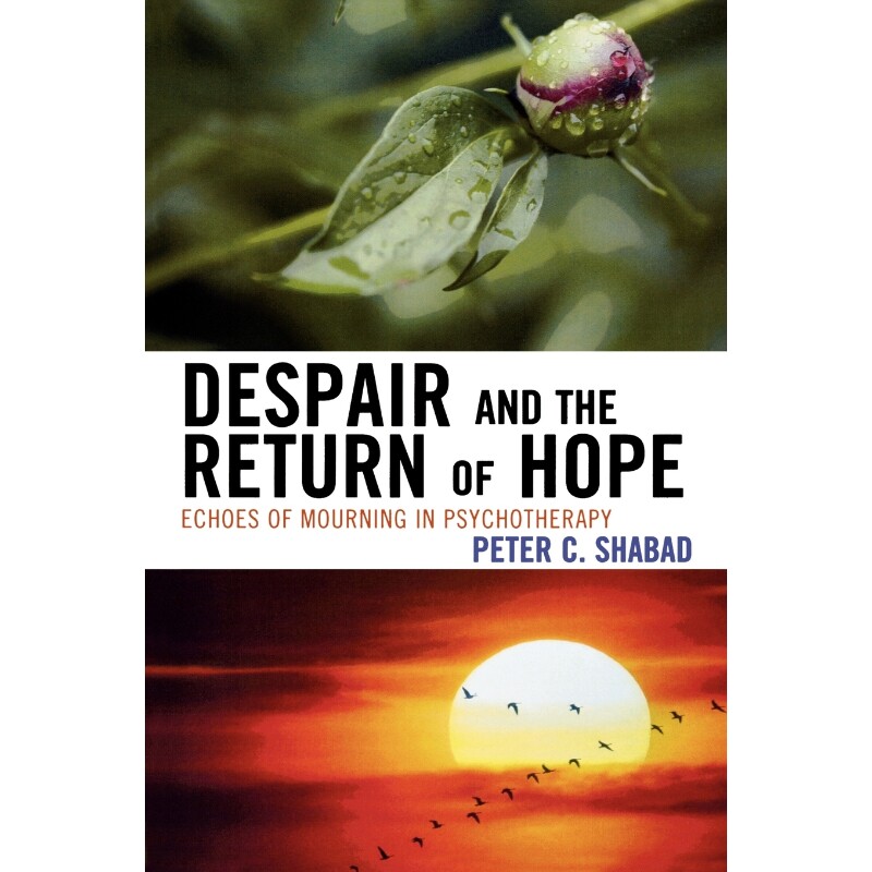 按需印刷不退不换Despair and the Return of Hope[9780765705815]