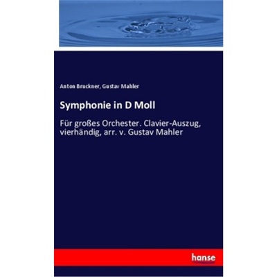 预订【德语】Symphonie in D Moll[9783337410483]