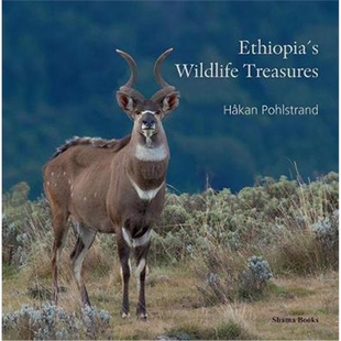 预订Ethiopia's Wildlife Treasures