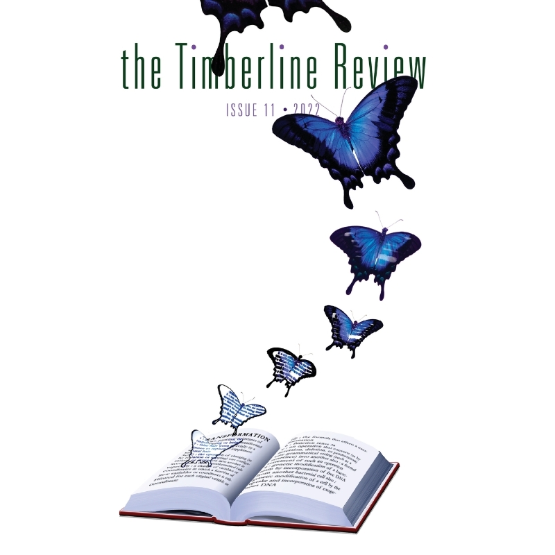 预订，预计下单后2-3周左右发货！