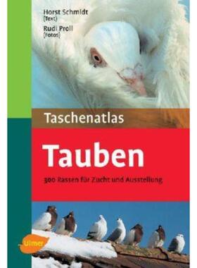 预订【德语】 Taschenatlas Tauben:300 Rassen für Zucht und Ausstellung
