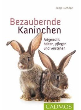预订【德语】 Bezaubernde Kaninchen:Artgerecht halten, pflegen und verstehen